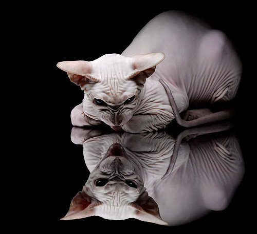 挪威_力克土耳其 领跑欧预赛小组,挪威对土耳其实况