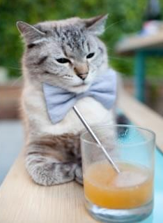 腾讯电竞赛事影响力持续提升,腾讯电竞会