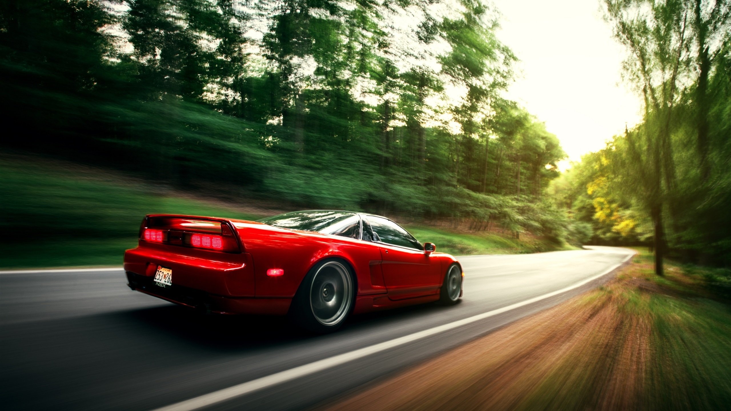 荷兰马术协会举办国际马术科技大会,推动行业技术交流与合作。