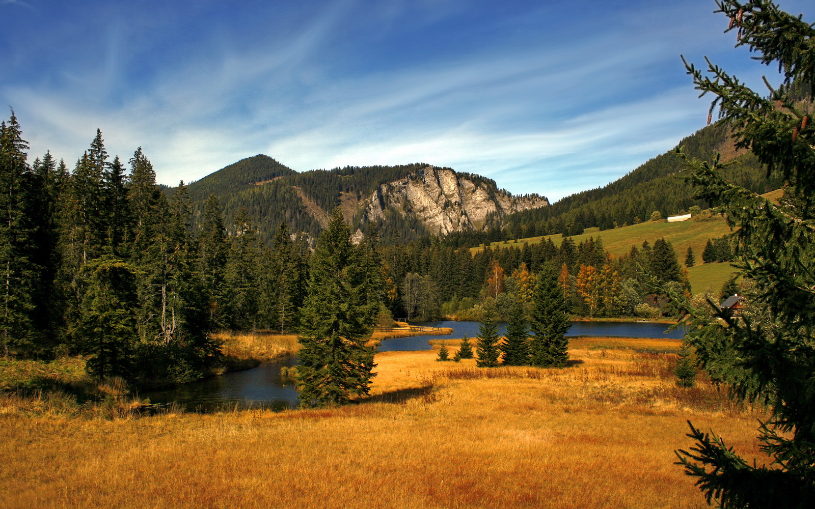 爱游戏体育官方网站-中国篮球教练员战术执行力提升途径，中国篮球教练员战术执行力提升途径有哪些