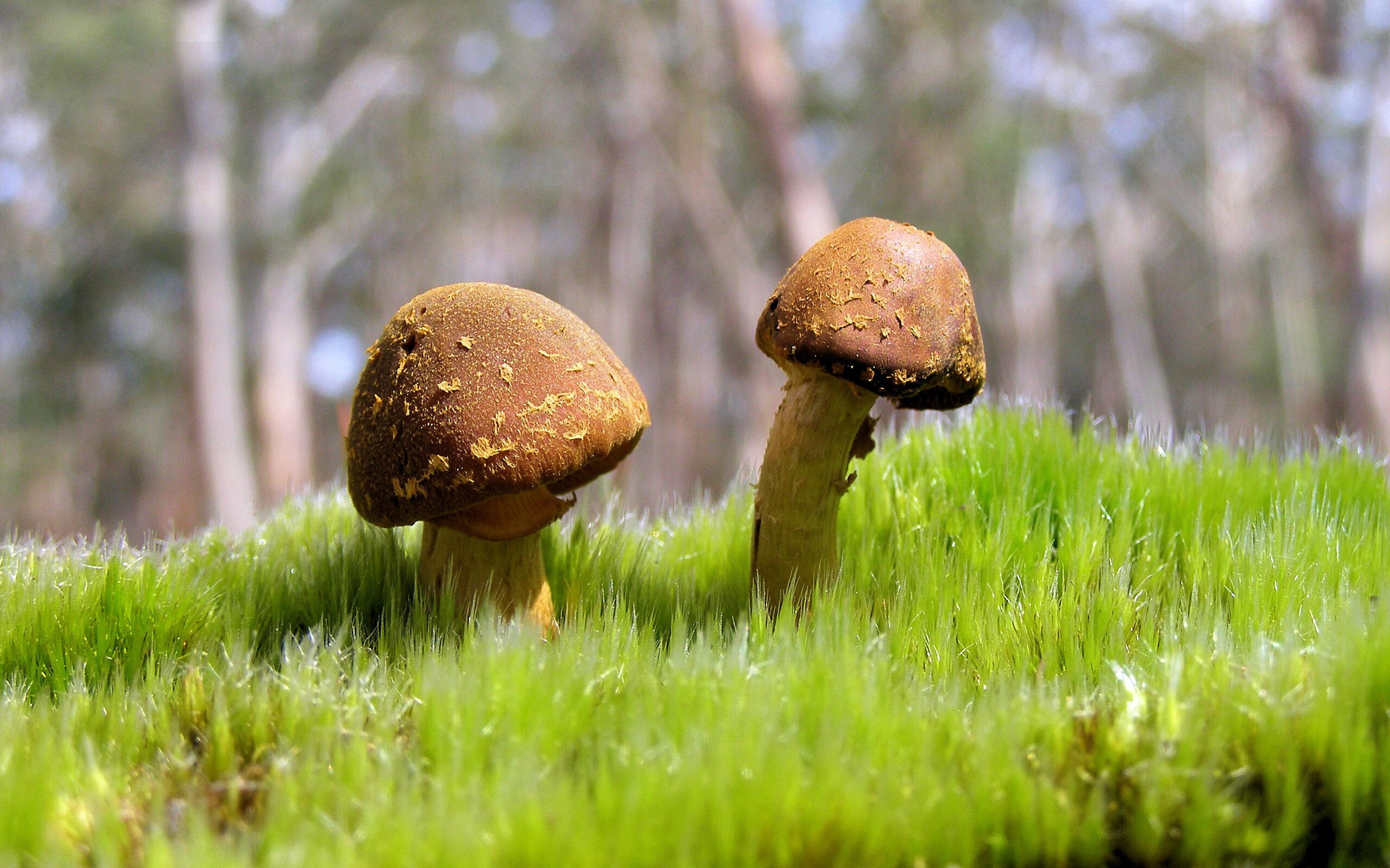 智能训练辅助系统开发与应用推广研究,智能训练计划