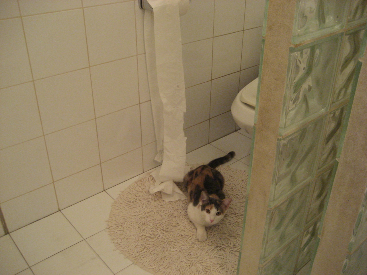 西甲球队构建AI战术模拟平台评估不同战术执行成功率,西甲技术流