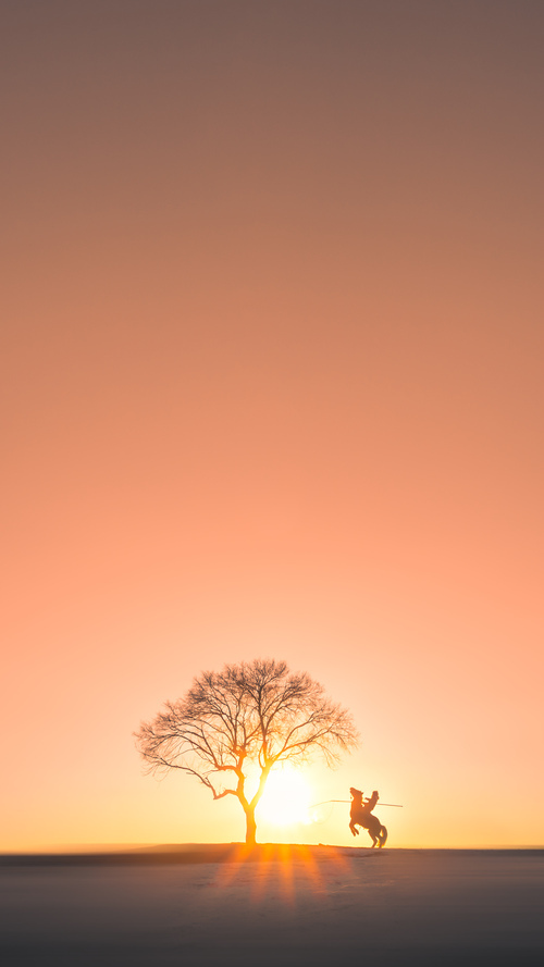 英超球队融合AI心率追踪模型动态调整球员出场时间,英超新人