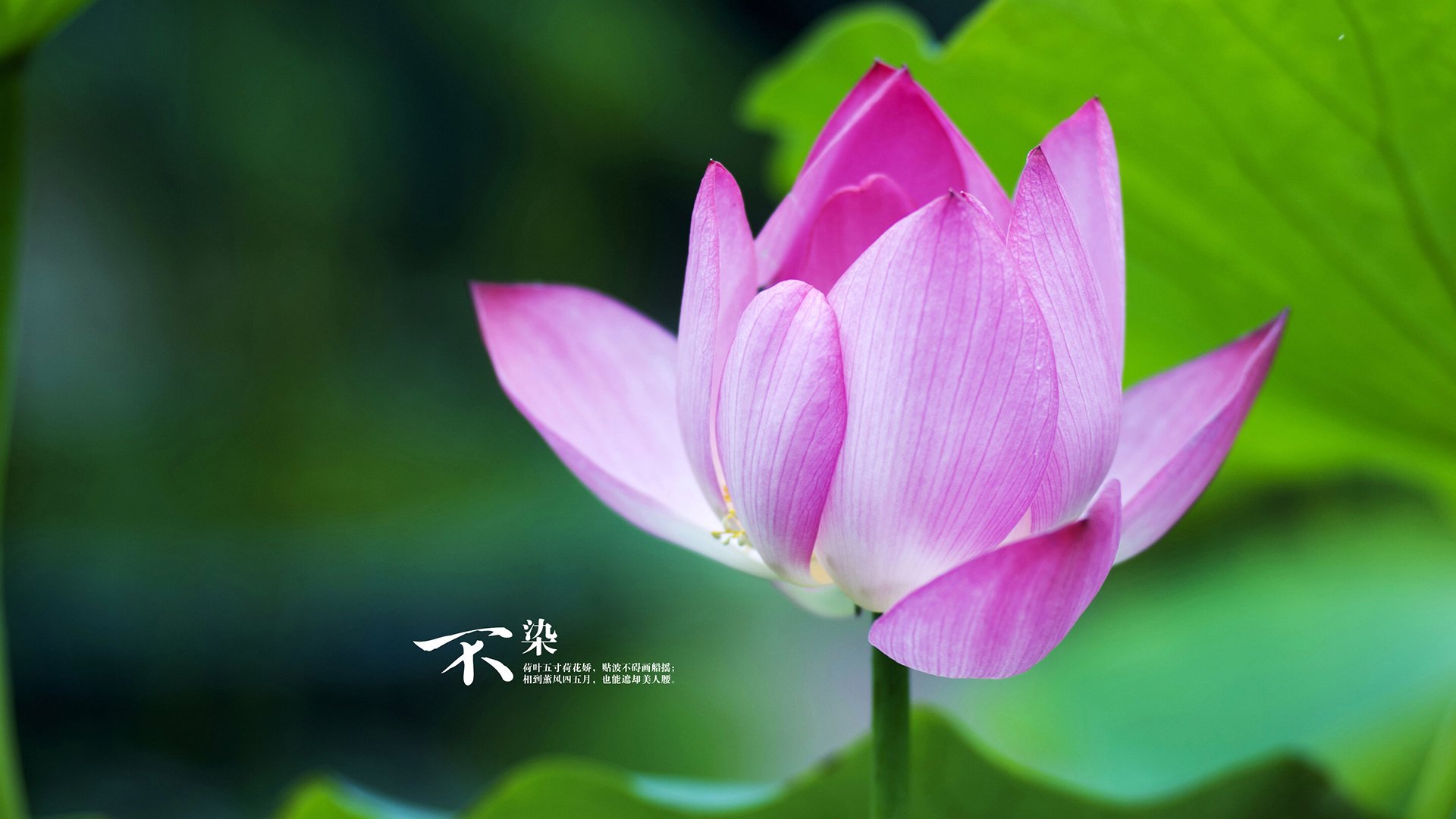 爱游戏中国官方登录入口网站-体育新闻中心发布体育社群运营与内容管理方案，体育类社团招新文案