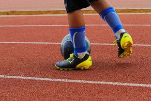 爱游戏娱乐-明星球员带动体育产业发展，打造体育明星的弊端