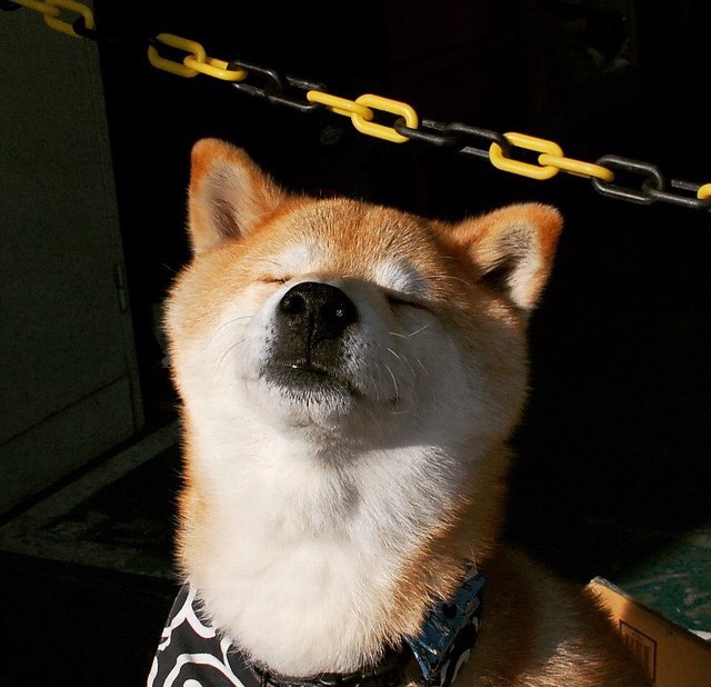 美国队赛制解析:如何通过优化赛制配置提升整体稳定性,美国队比赛结果