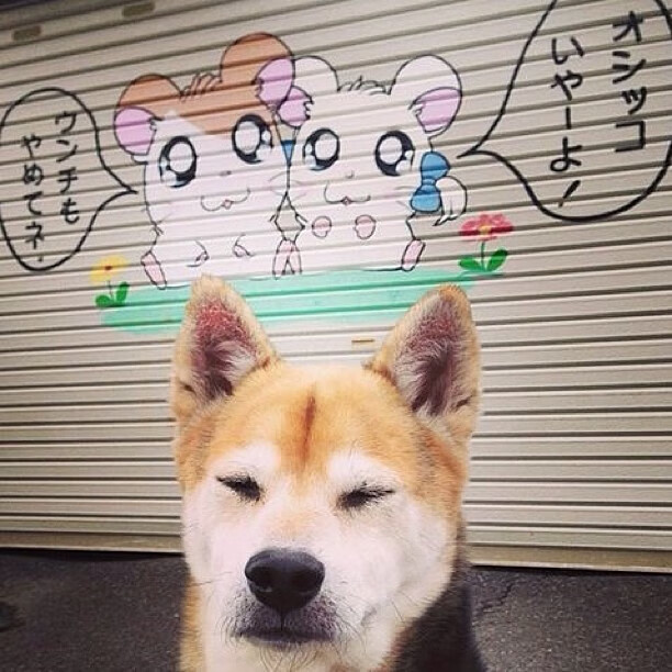 爱游戏电竞-高校田径联赛爆冷黑马频出，大学田径比赛项目