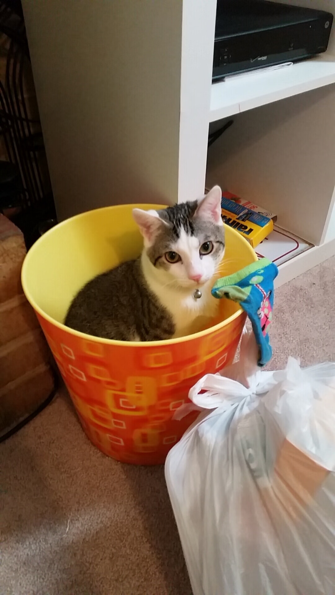 中国篮球历史图鉴系列出版传承民族体育精神与荣誉感,中国篮球成就