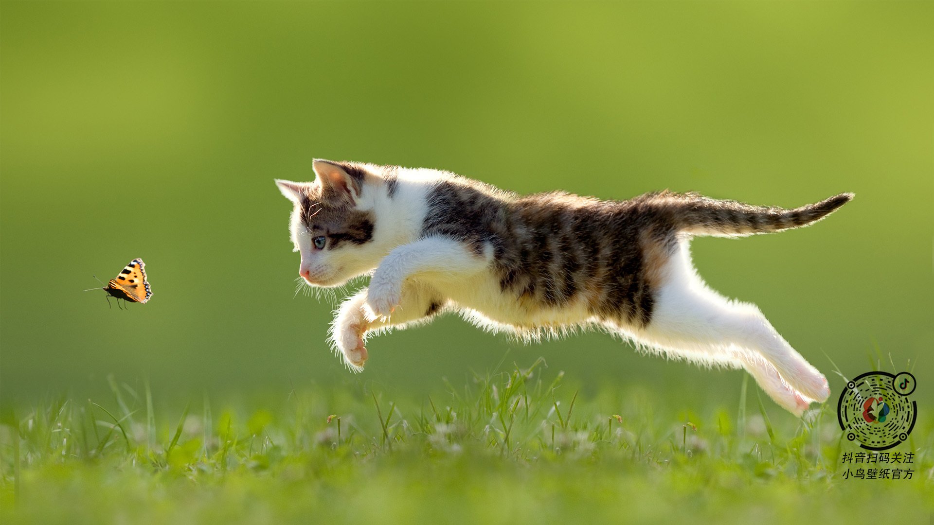 体育商业联盟成立推动赛事品牌合作，体育产业联合会成立大会