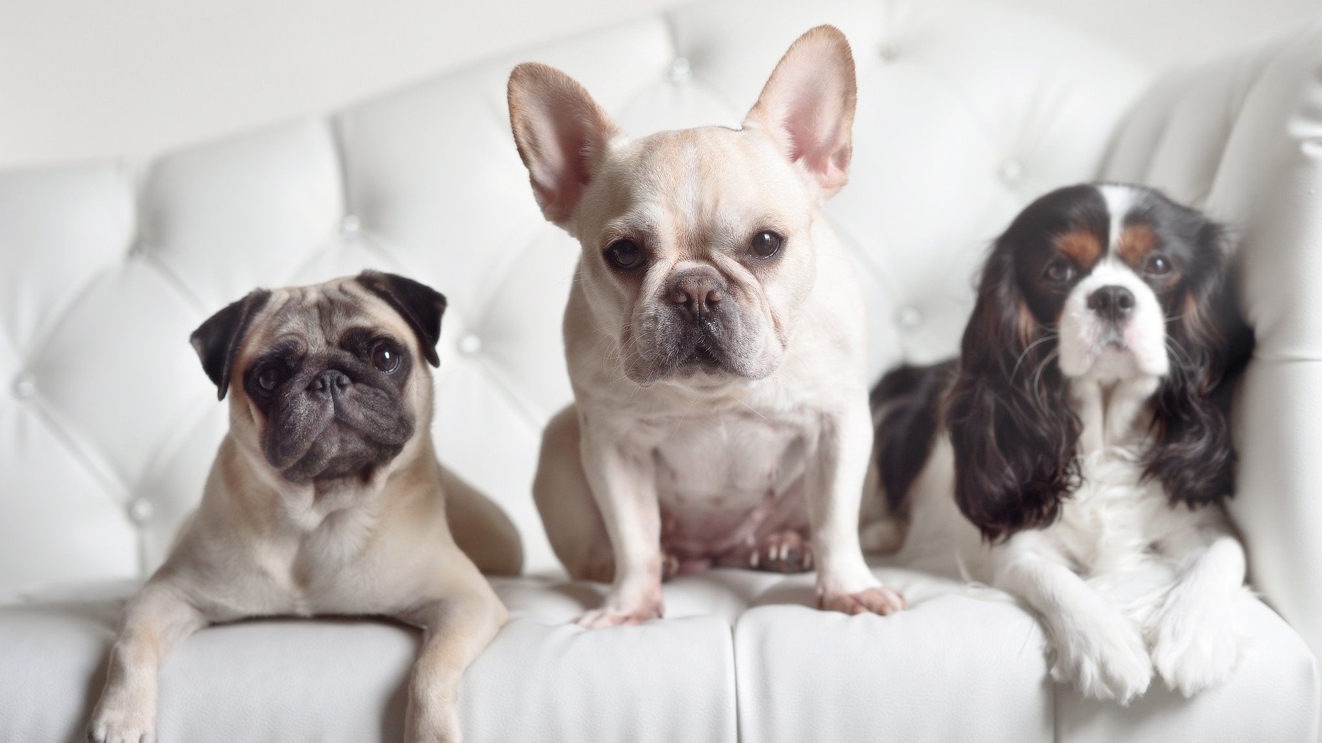 南非男队自由泳再创佳绩,南非游泳金牌