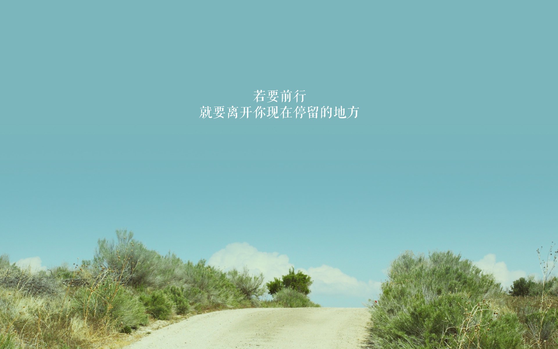 凯蒂·莱德基保持领先优势锁定冠军,凯蒂芬得莱