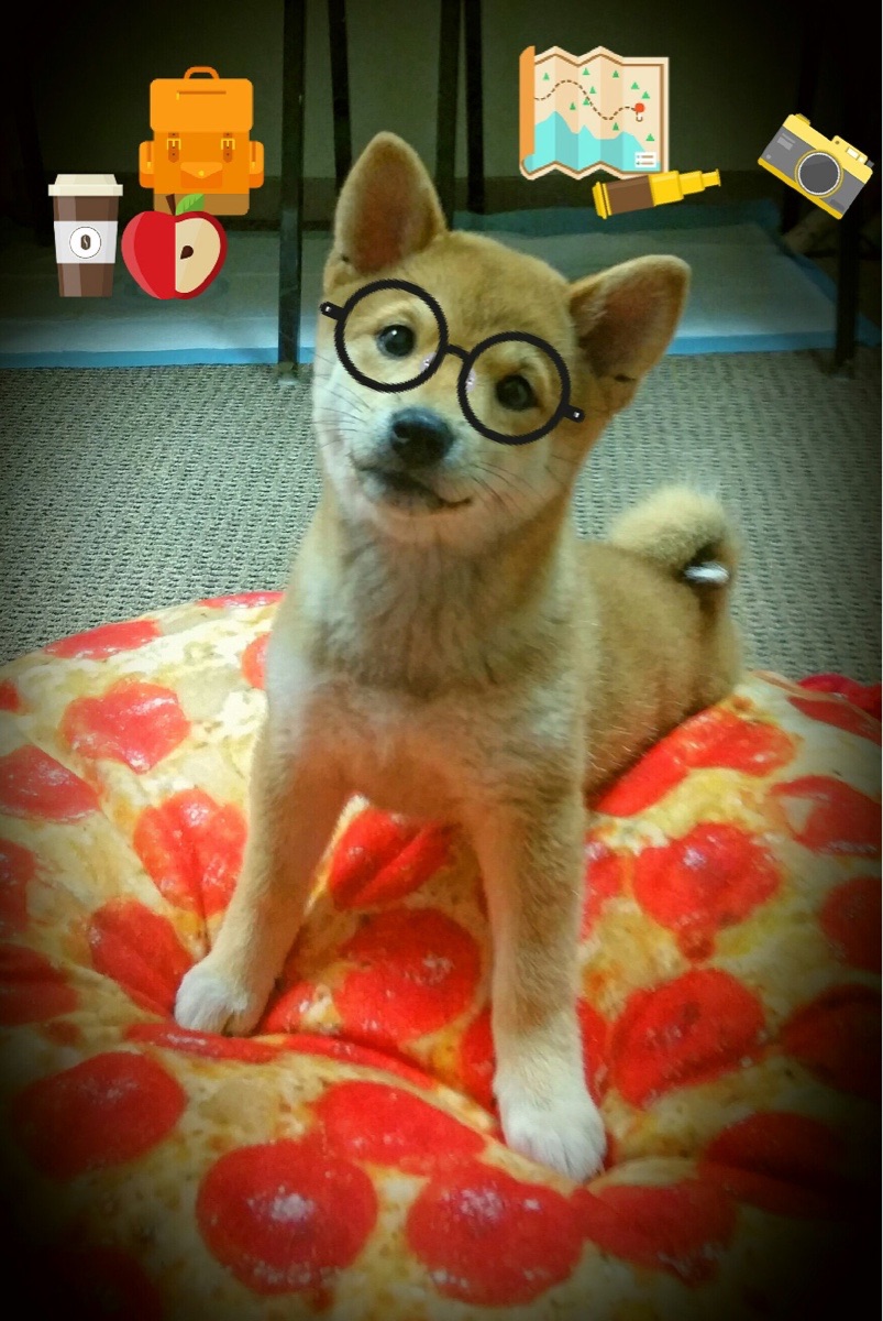 张雨霏用水下摄像辅助动作纠正，张雨霏泳镜