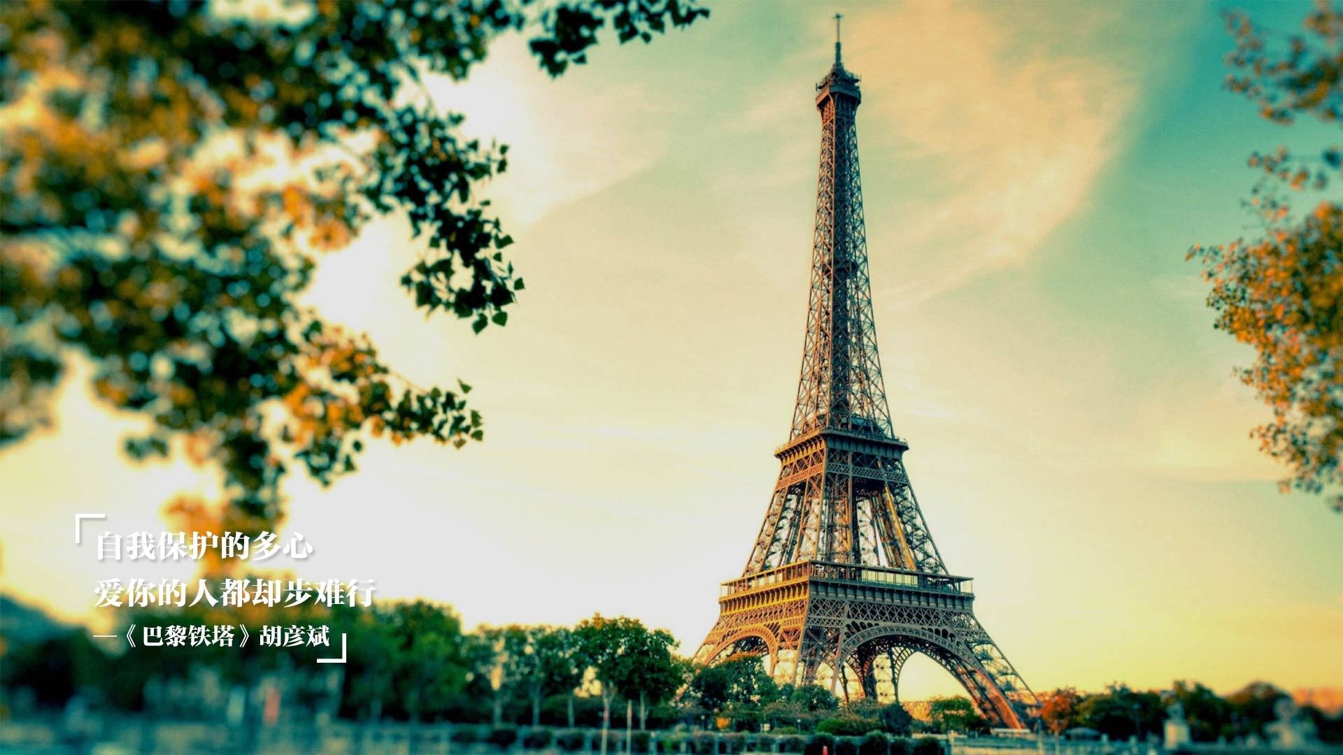 江苏男篮挖掘青年才俊新星频出引人关注,江苏 男篮